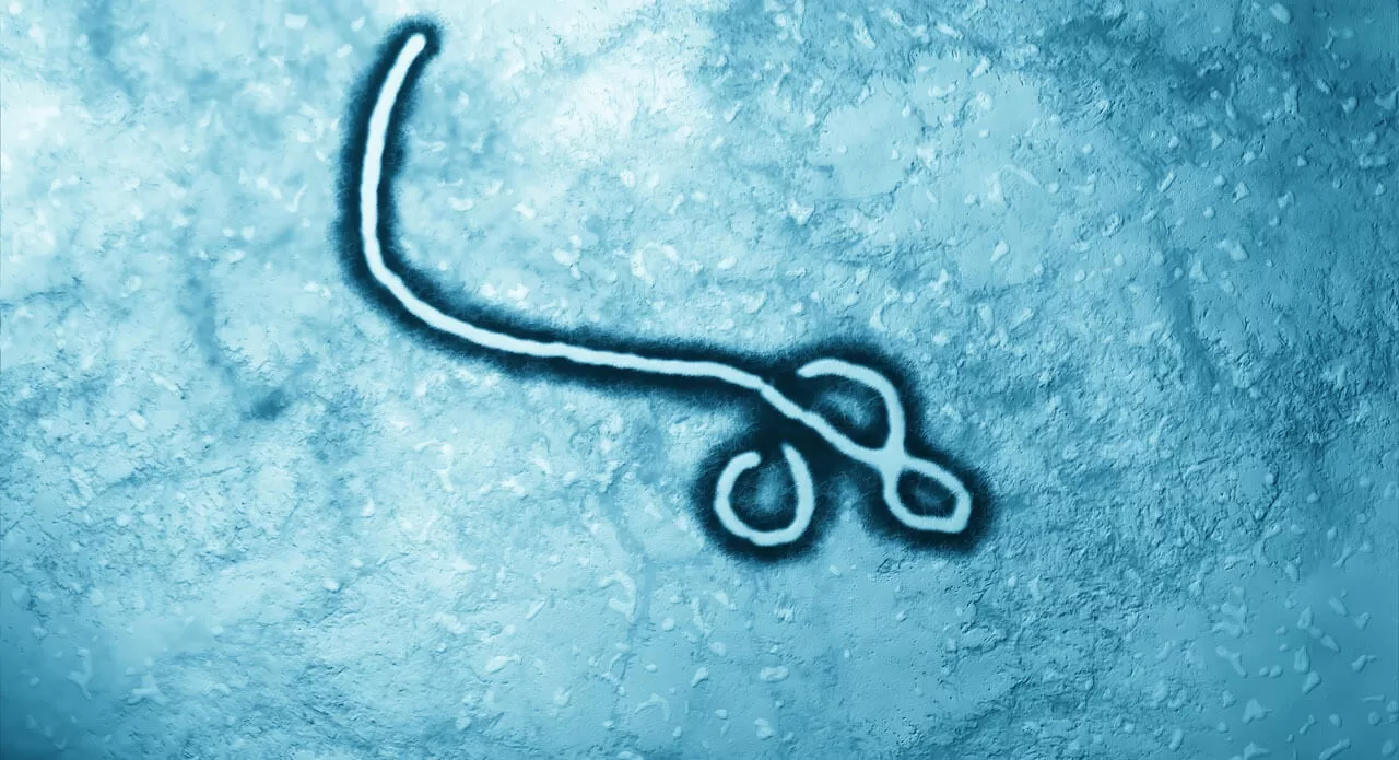 ebola_gettyimages_1280x695.jpg