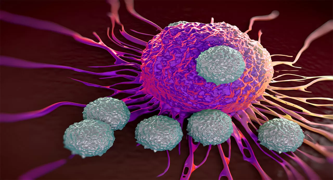 t-cells_attacking_cancer_cell_illustration_of_microscopic_photos_1280x695.jpg